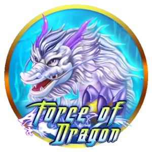 Poker Tournament Prizes